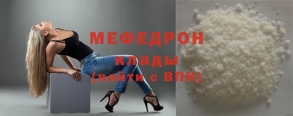 молекула духа Вяземский